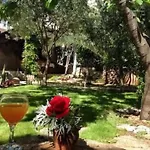 Mit Garten- Grill Und Terrasse By Interhome Vikendica Trogir