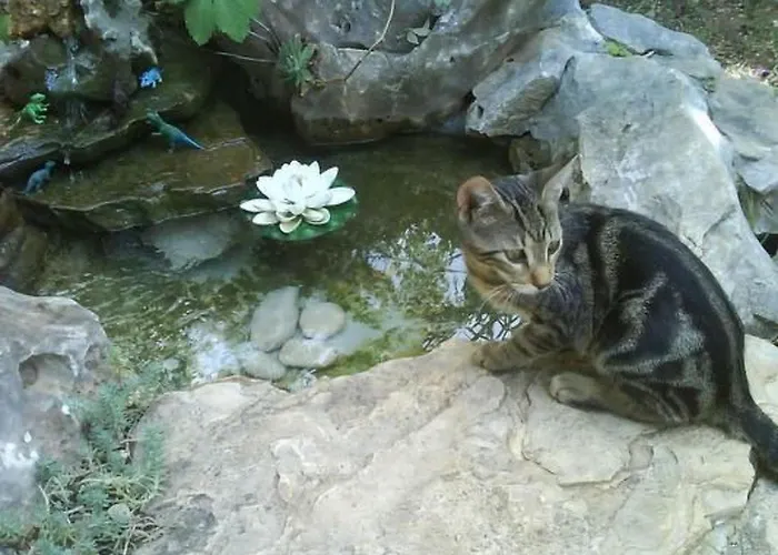 Mit Garten- Grill Und Terrasse By Interhome *